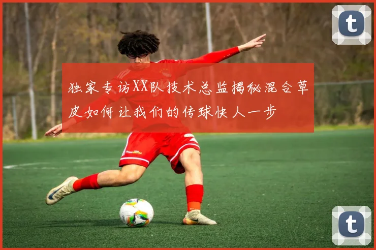 独家专访XX队技术总监揭秘混合草皮如何让我们的传球快人一步